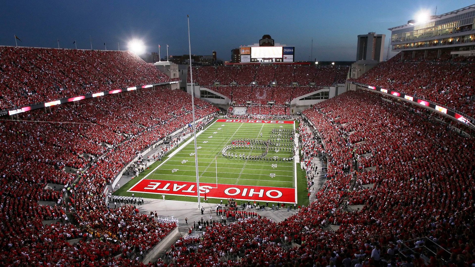 _猛兽运动会：传统民俗与运动的融合_，运动猛兽主题公园